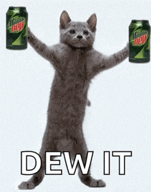 yum